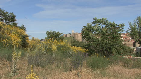 Avila-Spain-walls-and-yellow-flowers-distant