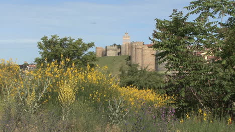 Avila-Spain-walls-and-yellow-flowers-zooms-in
