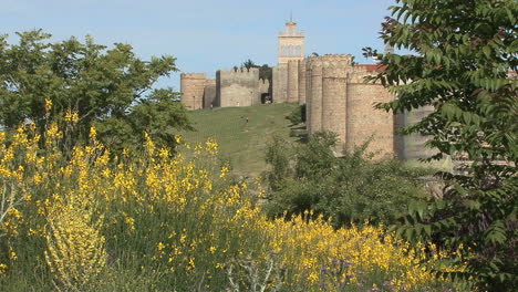 Avila-Spain-walls-and-yellow-flowers