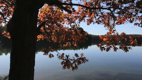Massachusetts-Walden-Pond-&-oak-leaves-c