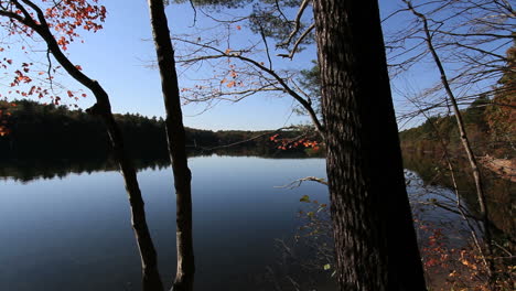 Massachusetts-Walden-Pond-&-trees-cx