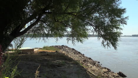 Missouri-&-Mississippi-confluence-with-tree