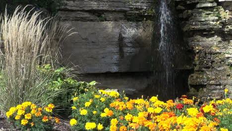 Ringelblumen-Und-Wasserfall