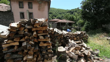 Spain-Castile-Soto-de-Sajambre-wood-pile-and-horreos