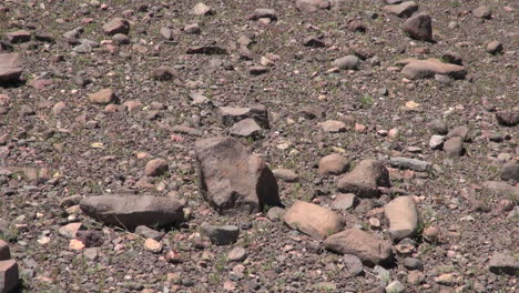 Atacama-Wüstenboden