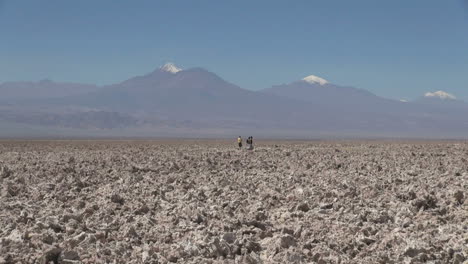 Chile-Atacama-Laguna-Chaxa-clumpy-texture-salt-flat-28