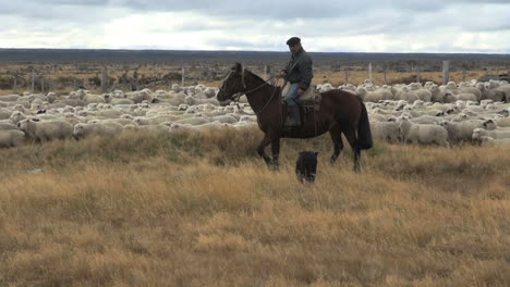 Pastoreo-De-Ovejas-Patagonia