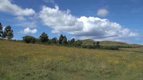 Easter-Island-Ahu-Akivi-grassy-landscape-4a