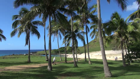 Easter-Island-Anakena-shady-palm-grove-stroll-2b