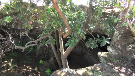 Isla-De-Pascua-Entrada-De-La-Cueva-Irregular-Y-árboles-1a