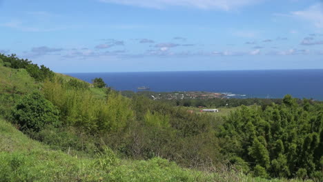 Easter-Island-Puna-Pau-view-over-tree-lined-slopes-9a