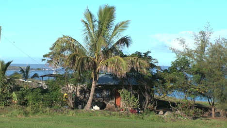 Casa-De-La-Isla-De-Pascua-Con-Palmera-Y-Puerta-Roja