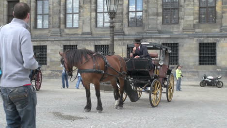 Netherlands-Amsterdam-horse-drawn-carriage-dam-square