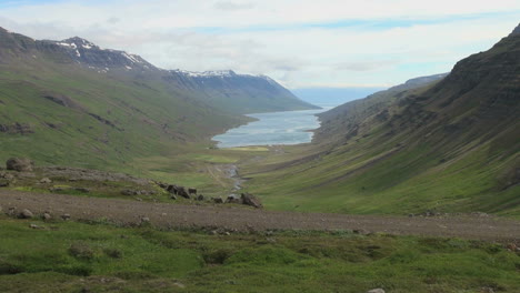 Island-Mjoifjördur-Fjord-Von-Oben