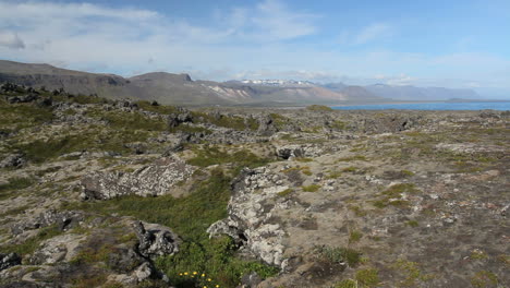 Iceland-lava-field-on-Snæfellsjökull-1