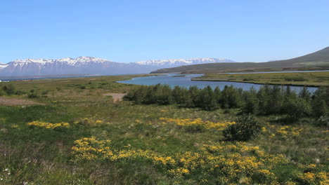 Iceland-Heoinsjordur-stream-broad-view-c1