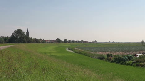 Niederländisches-Gras-Um-Den-Garten-In-Der-Nähe-Des-Dorfes