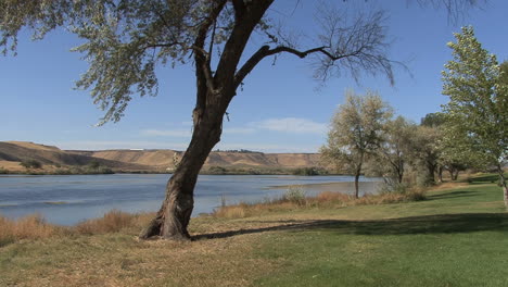 Idaho-Snake-River-with-tree