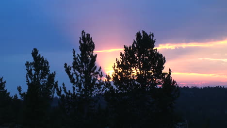 Wyoming-sunset-behind-trees-time-lapse