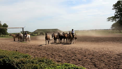 Argentine-Estancia-horses-editorial-c2