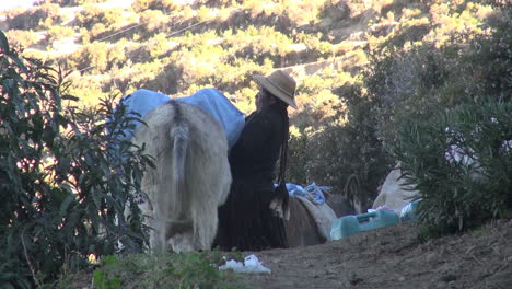 Bolivia-Island-of-Sun-woman-loading-donkey