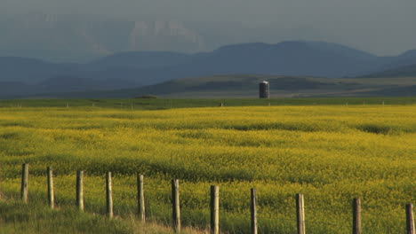 Canada-Alberta-crops-with-fence-and-mountains-s