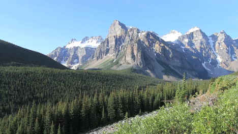 Canadian-Rockies-Banff-Eiffel-Lake-Trail-forest-and-peaks-c