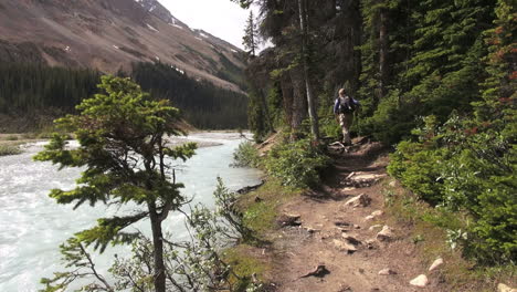 Canada-Alberta-Banff-Bow-Lake-hiking-trail-along-stream-13