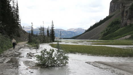 Kanadische-Rockies-Banff-Stream-In-Der-Nähe-Von-Lake-Louise