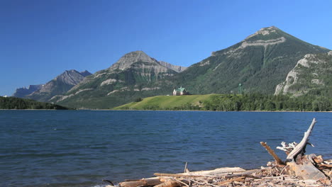 Kanada-See-Mit-Treibholz-Im-Waterton-Lakes-National-Park