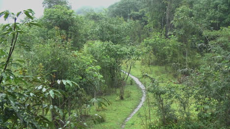 Amazon-rain-and-muddy-path