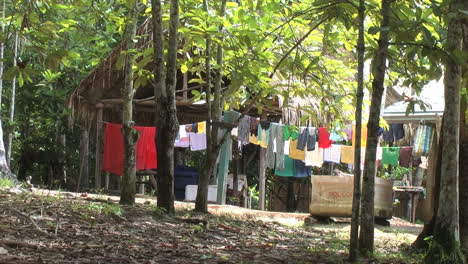 Amazon-laundry-at-jungle-lodge