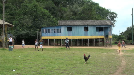 Brazil-Boca-da-Valeria-blue-house-with-chicken