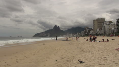 Rio-De-Janeiro-Ipanema-Strand-Mit-Vogel