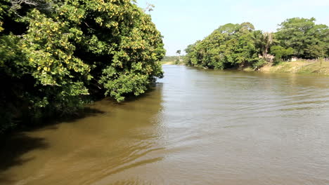 Brazil-Amazon-backwater-canoe-approaching-c