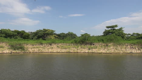 Brazil-Amazon-backwater-erosion-on-bank-s