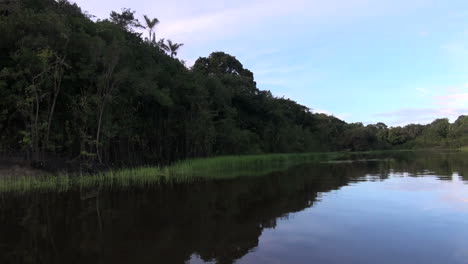 Amazon-grassy-margin-of-lake-under-evening-sky