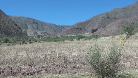 Peru-Sacred-Valley-hills-and-crop-stalks-in-harvested-field-9