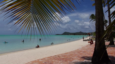 Bora-Bora-palm-frond-over-beach-scene