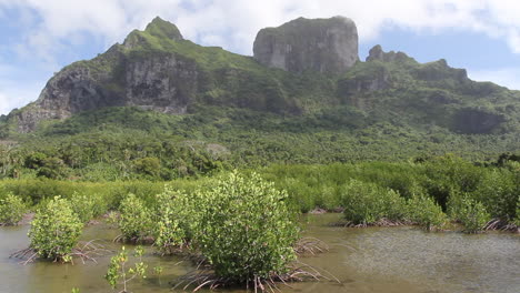 Bora-Bora-mangroves-and-volcano