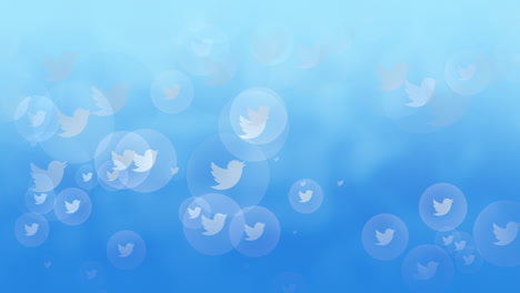Motion-icons-of-Twitter-social-network-on-simple-background-10
