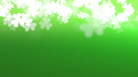 Motion-green-shamrocks-with-Saint-Patrick-Day-11