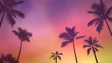 Panoramic-view-of-tropical-landscape-with-palm-trees-and-sunset