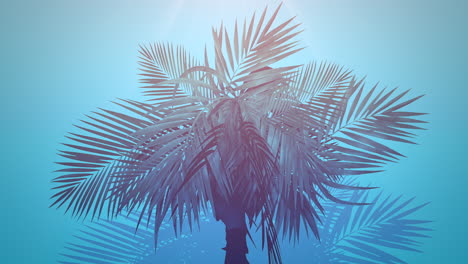 Nahaufnahme-Tropische-Palmen-Mit-Sommerhintergrund