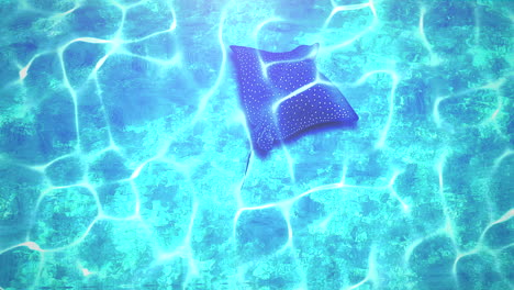Closeup-stingray-in-underwater-world-with-summer-background-1