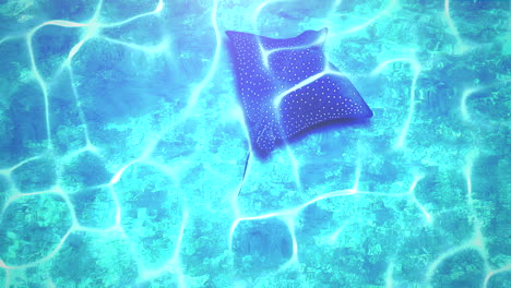 Closeup-stingray-in-underwater-world-with-summer-background-2