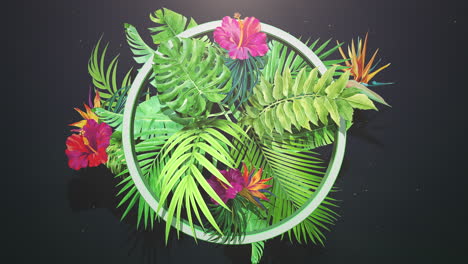 Closeup-tropical-flowers-and-leaf-with-summer-background-1