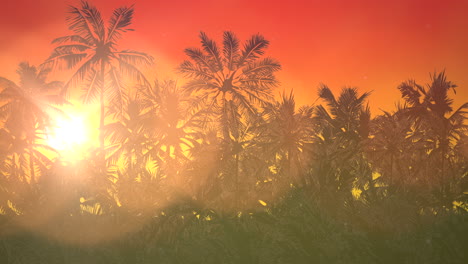 Panoramic-view-of-tropical-landscape-with-palm-trees-and-sunset-17