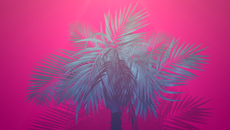 Closeup-tropical-palm-trees