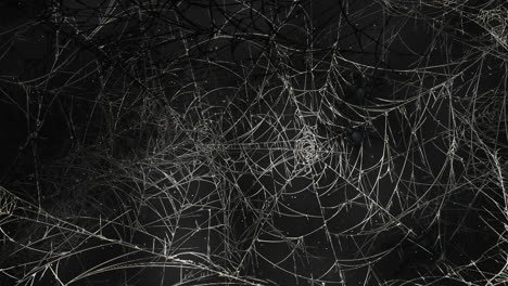 Mystical-horror-background-with-dark-spiderweb-and-motion-camera-1